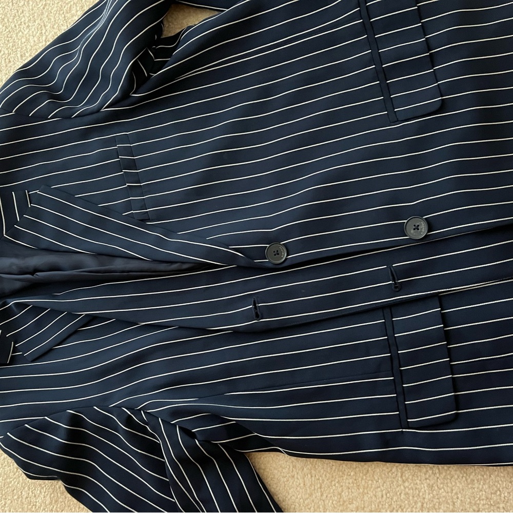 Aritzia Babaton Matching Blazer Jacket and Pants Set - Picture 5 of 6